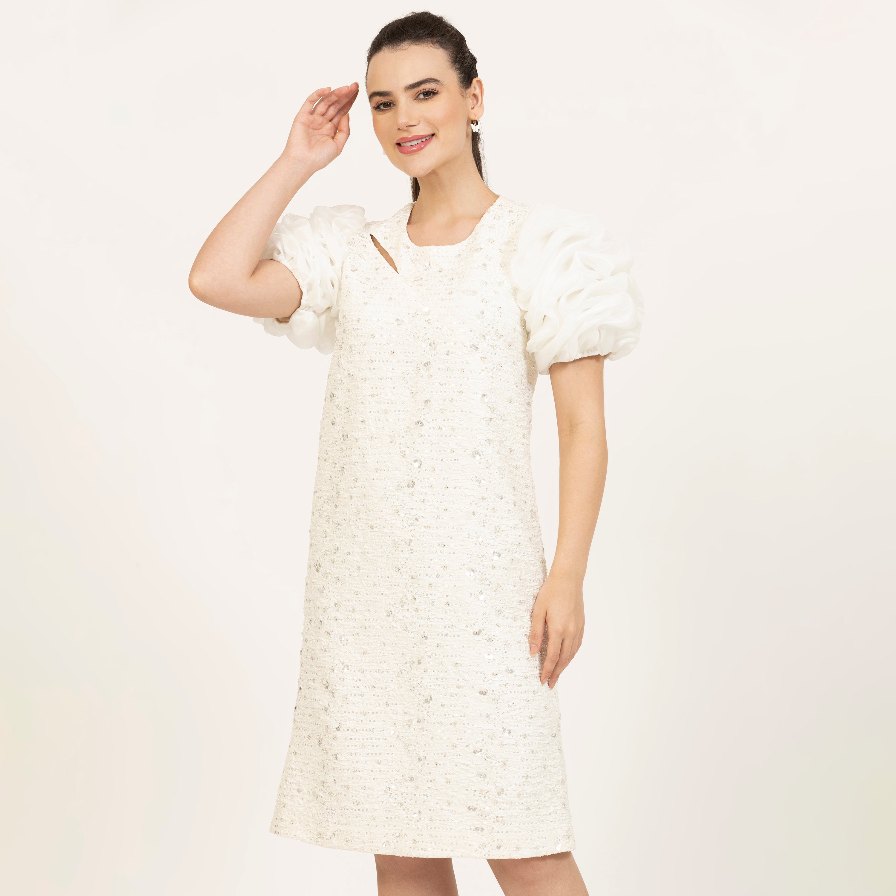 Off-White Bubble Sleeves A-Line Embroidered Dress