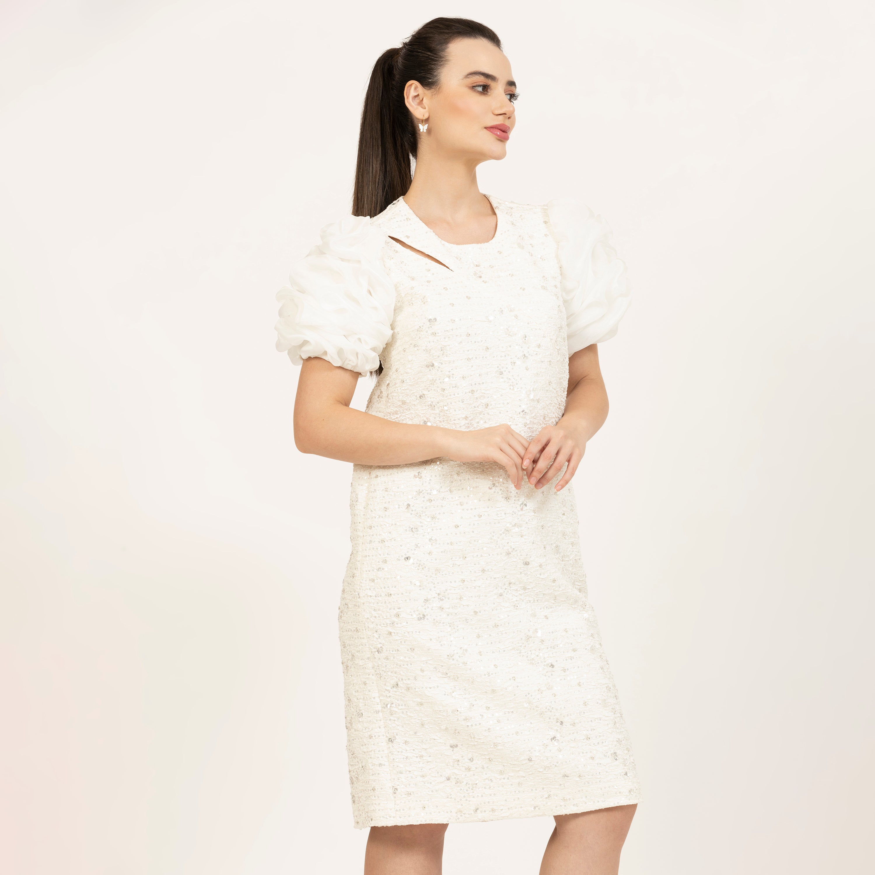 Off-White Bubble Sleeves A-Line Embroidered Dress