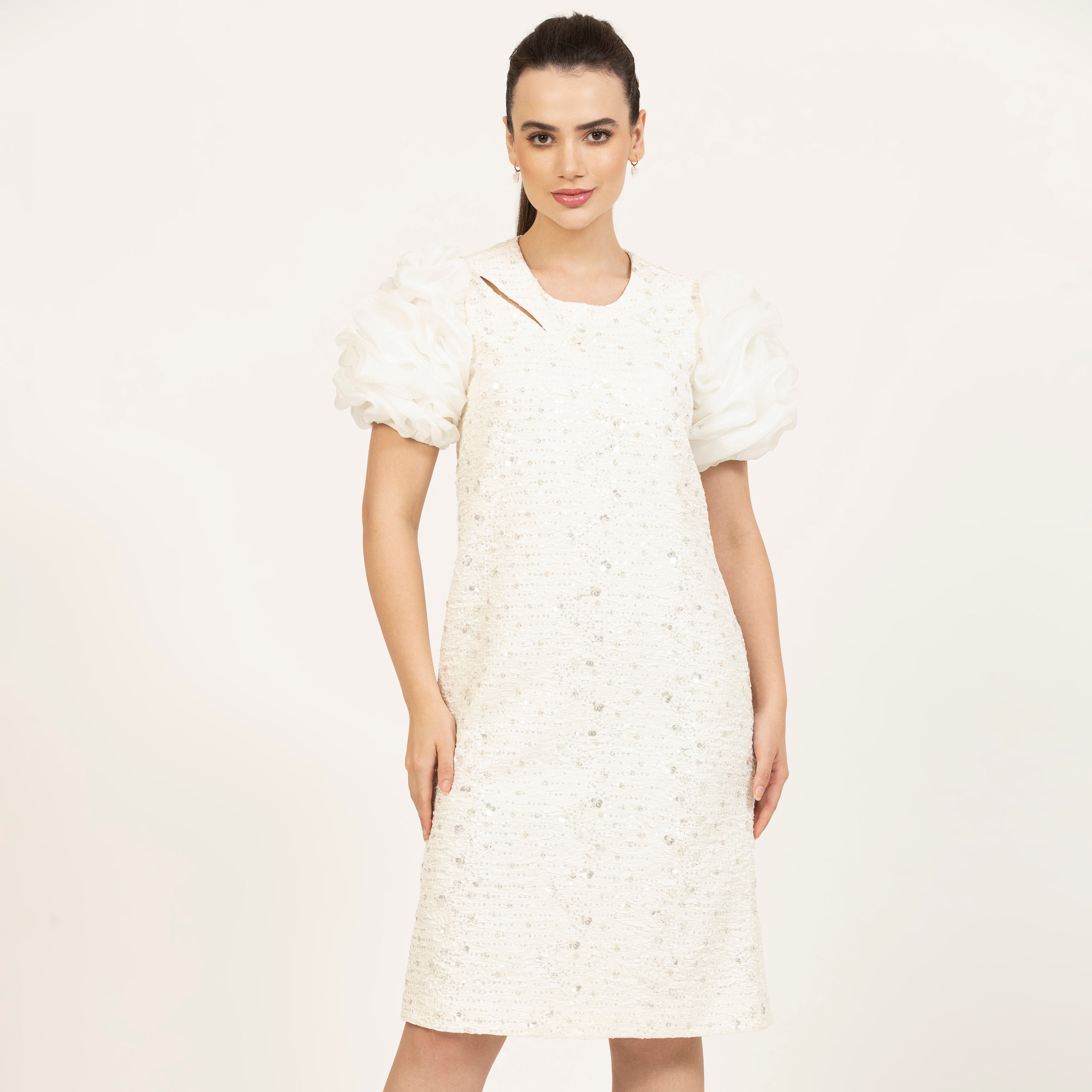 Off-White Bubble Sleeves A-Line Embroidered Dress