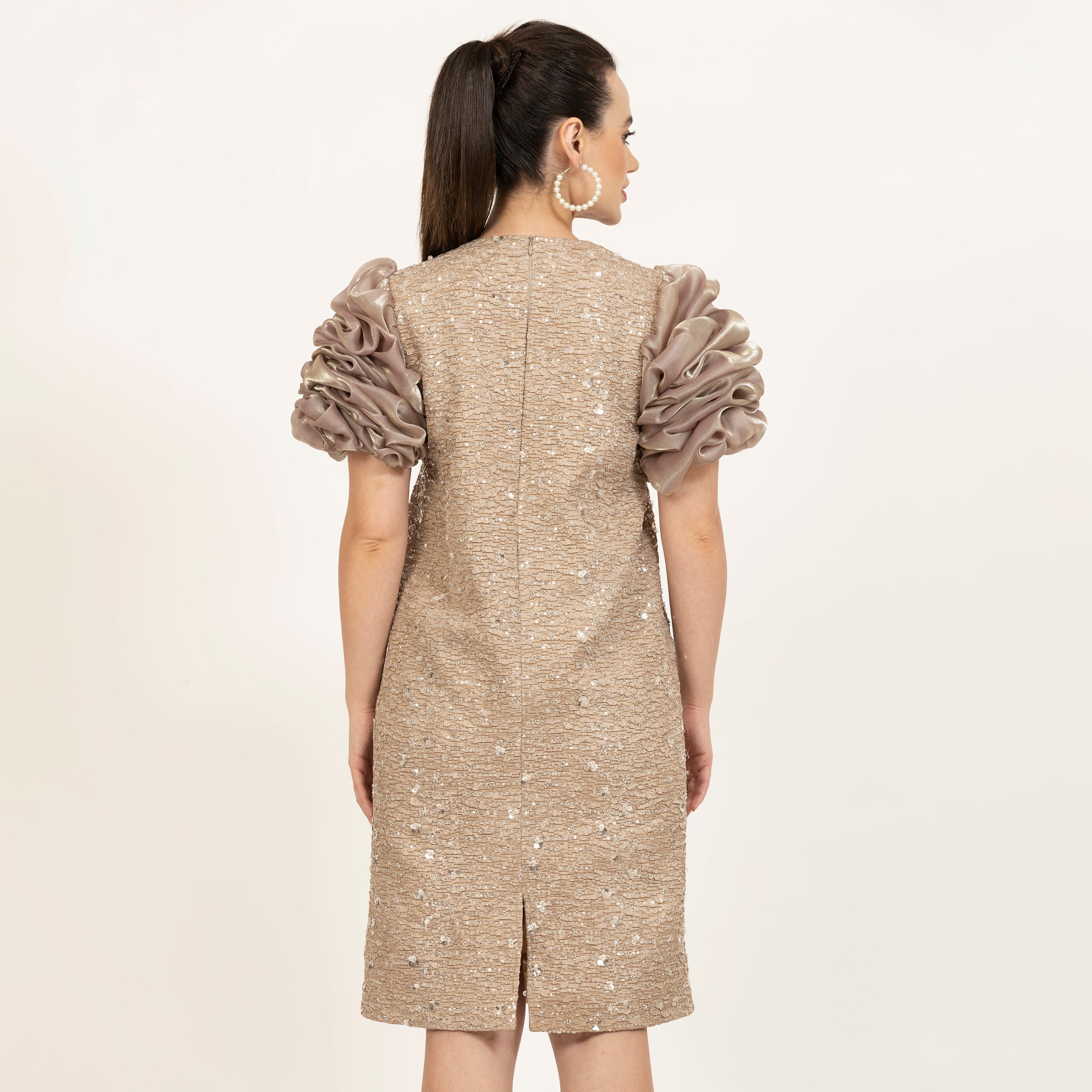 Beige Bubble Sleeves A-Line Embroidered Dress