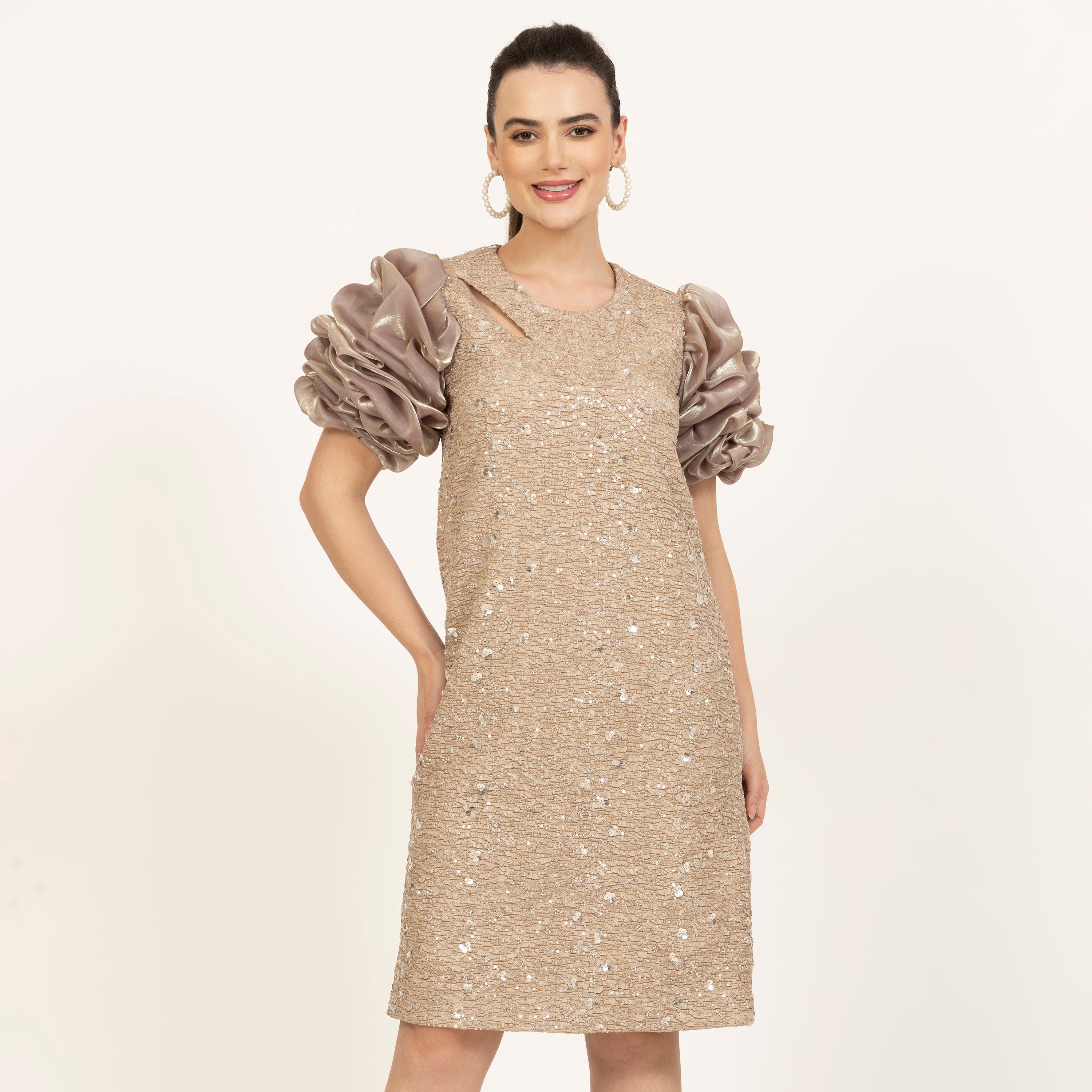 Beige Bubble Sleeves A-Line Embroidered Dress