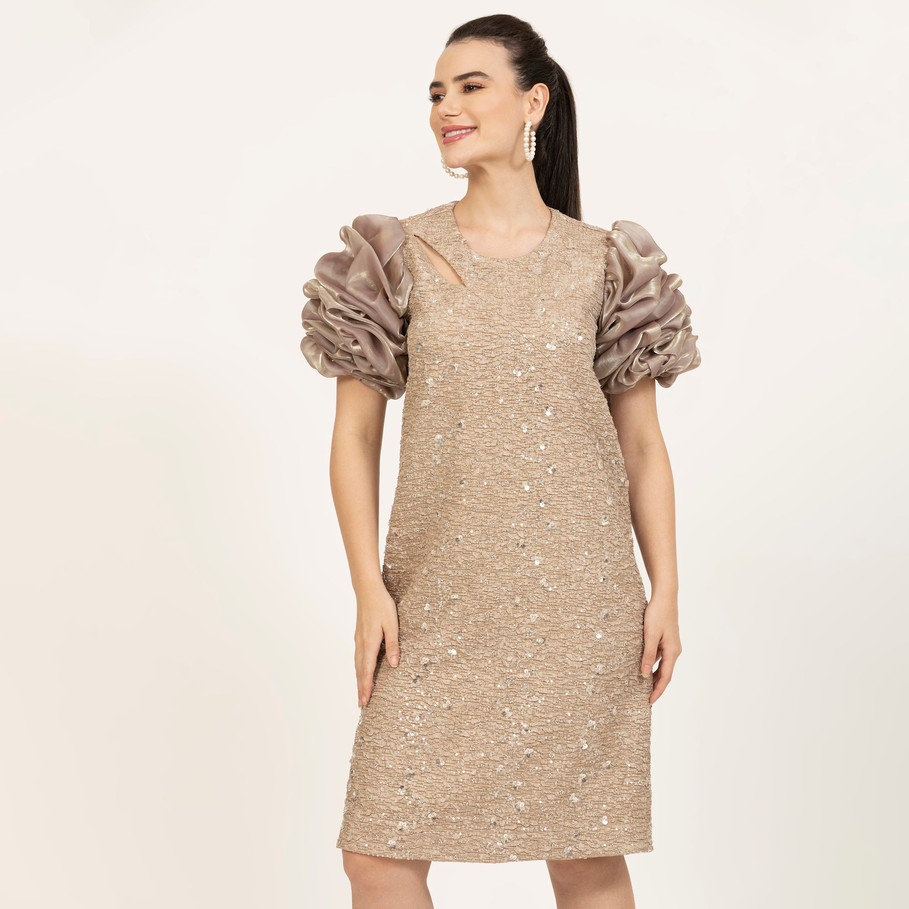 Beige Bubble Sleeves A-Line Embroidered Dress