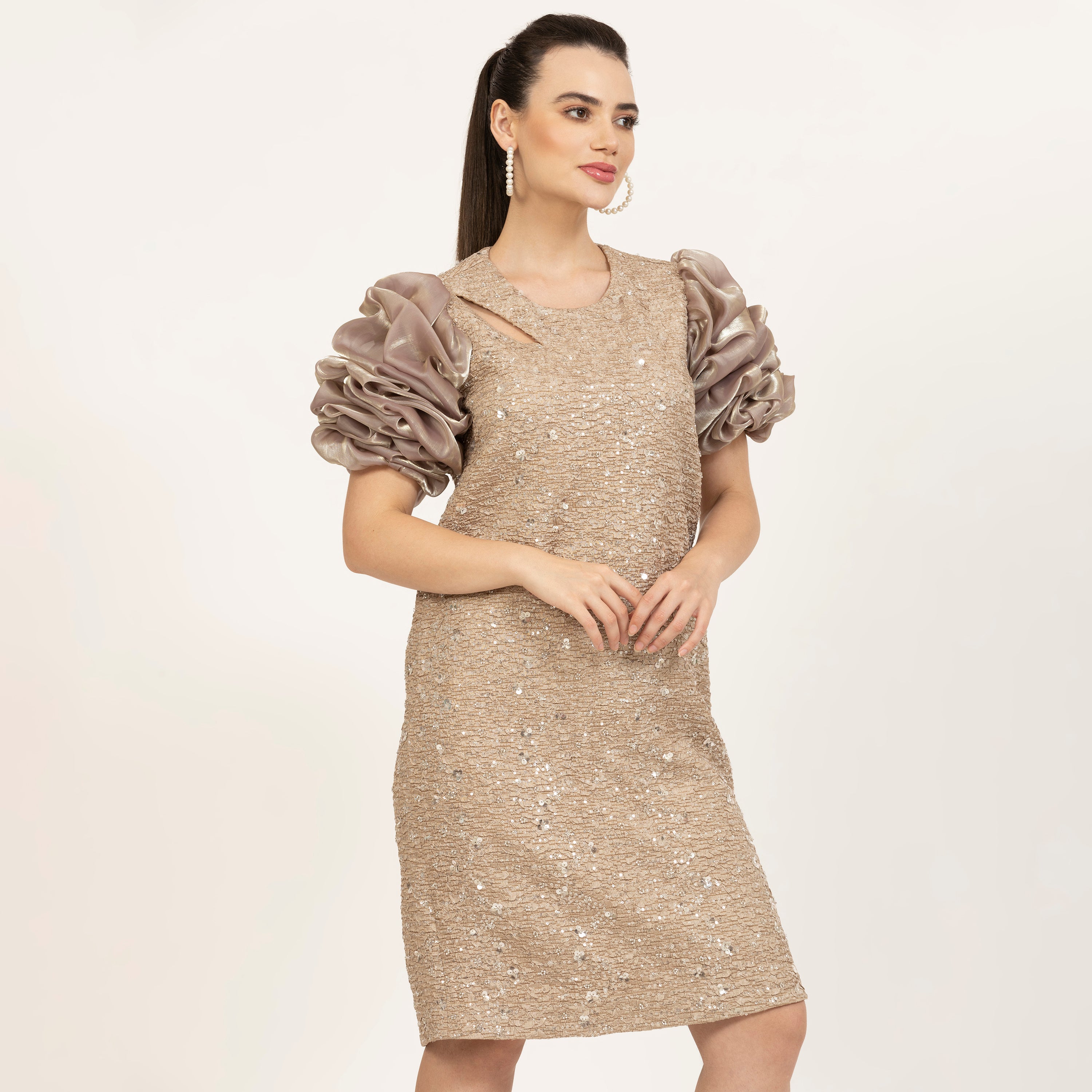 Beige Bubble Sleeves A-Line Embroidered Dress